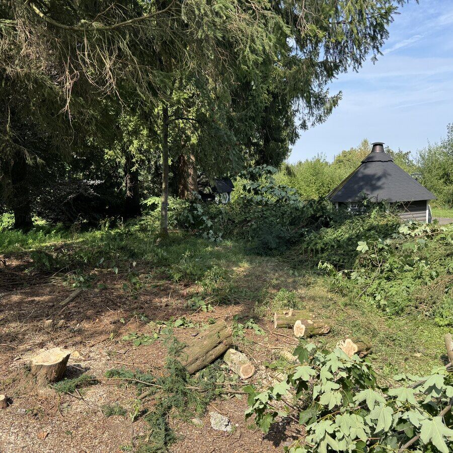 Fläche um eine Grillhütte mit liegendem Schnittgut und frischen Stubben