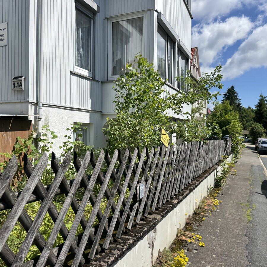 Aufwuchs an Zaun, Stützmauer und Gehweg